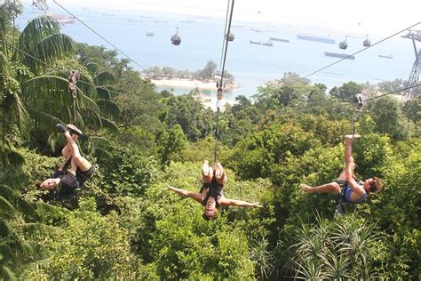 sentosa zip line|Iba pa.